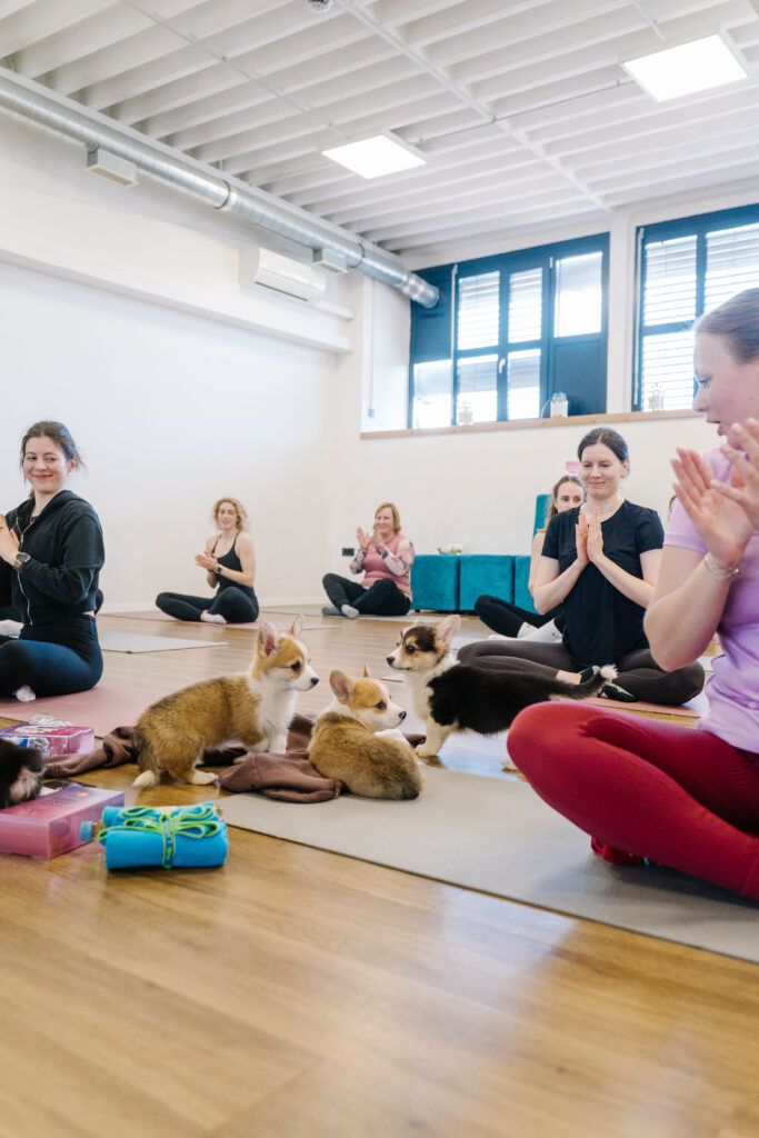 puppy pilates-101