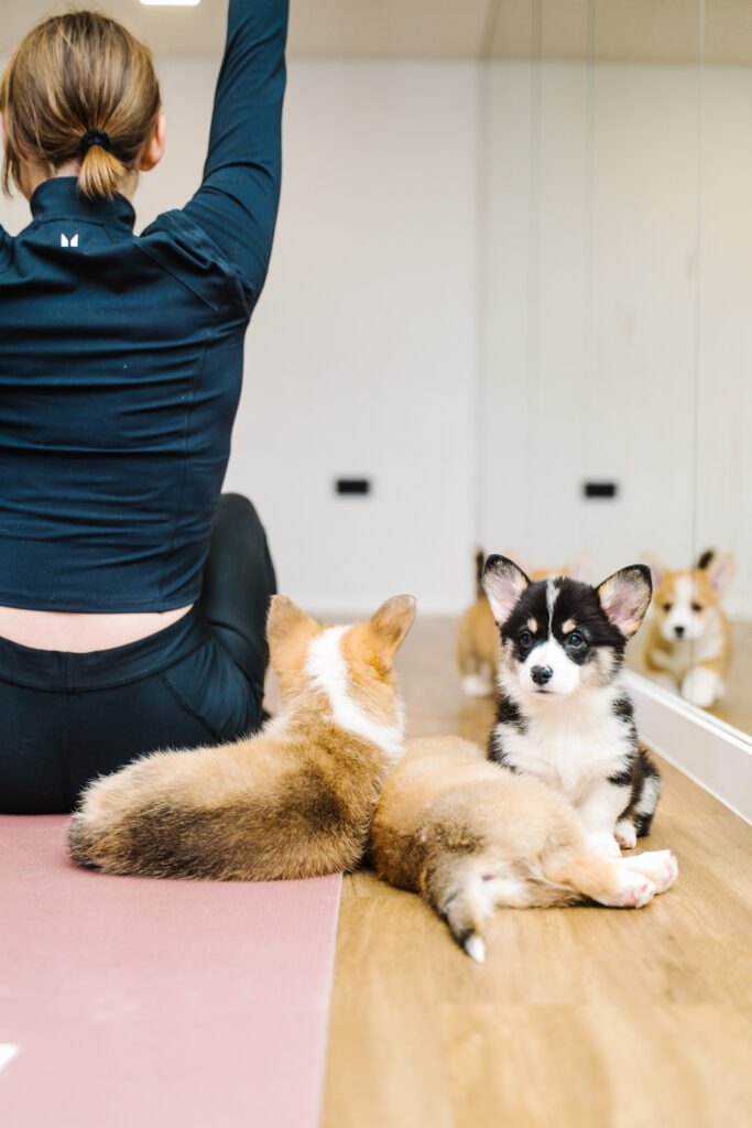puppy pilates-178