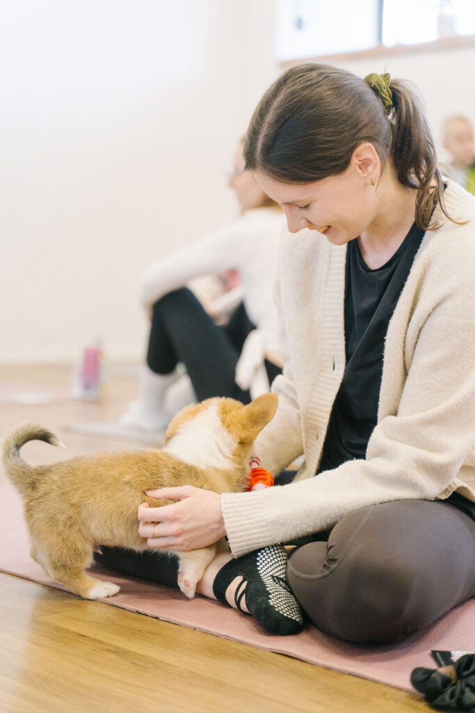 puppy pilates-34