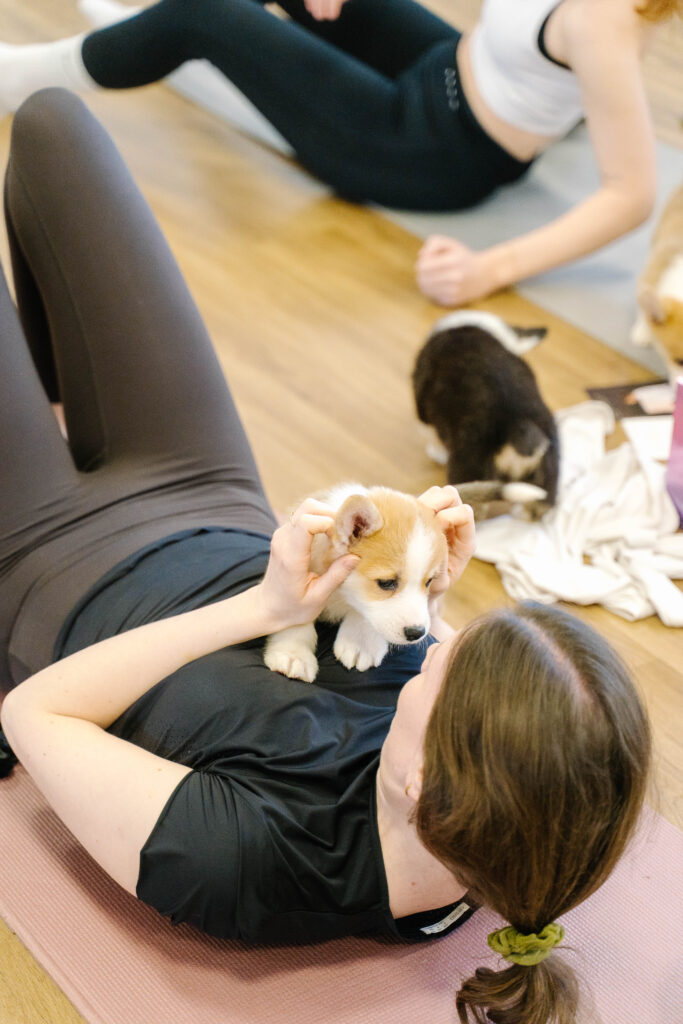 puppy pilates-67