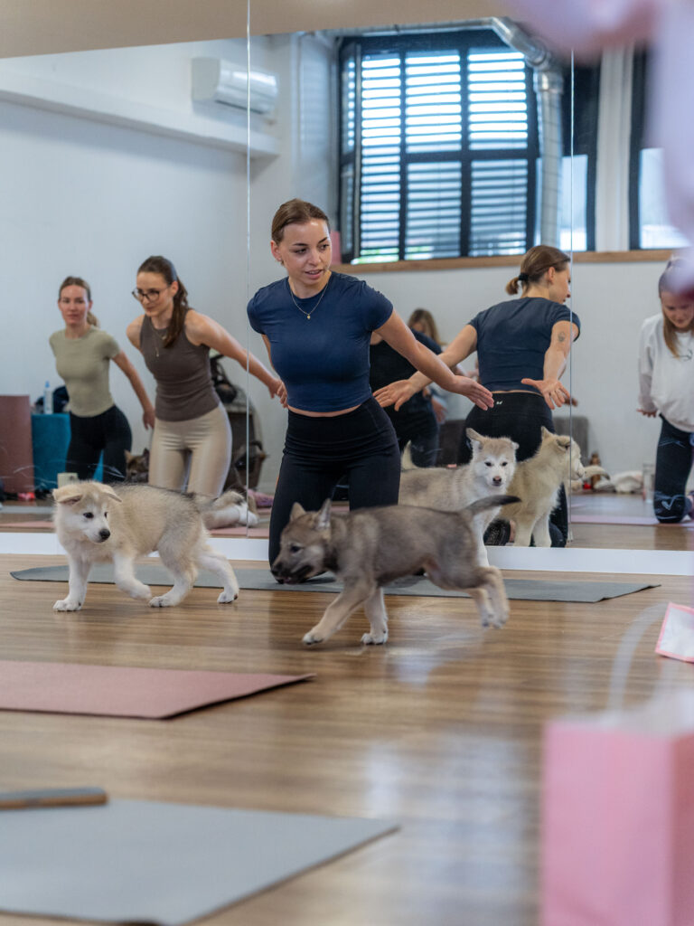 PuppyPilates16.5.-21