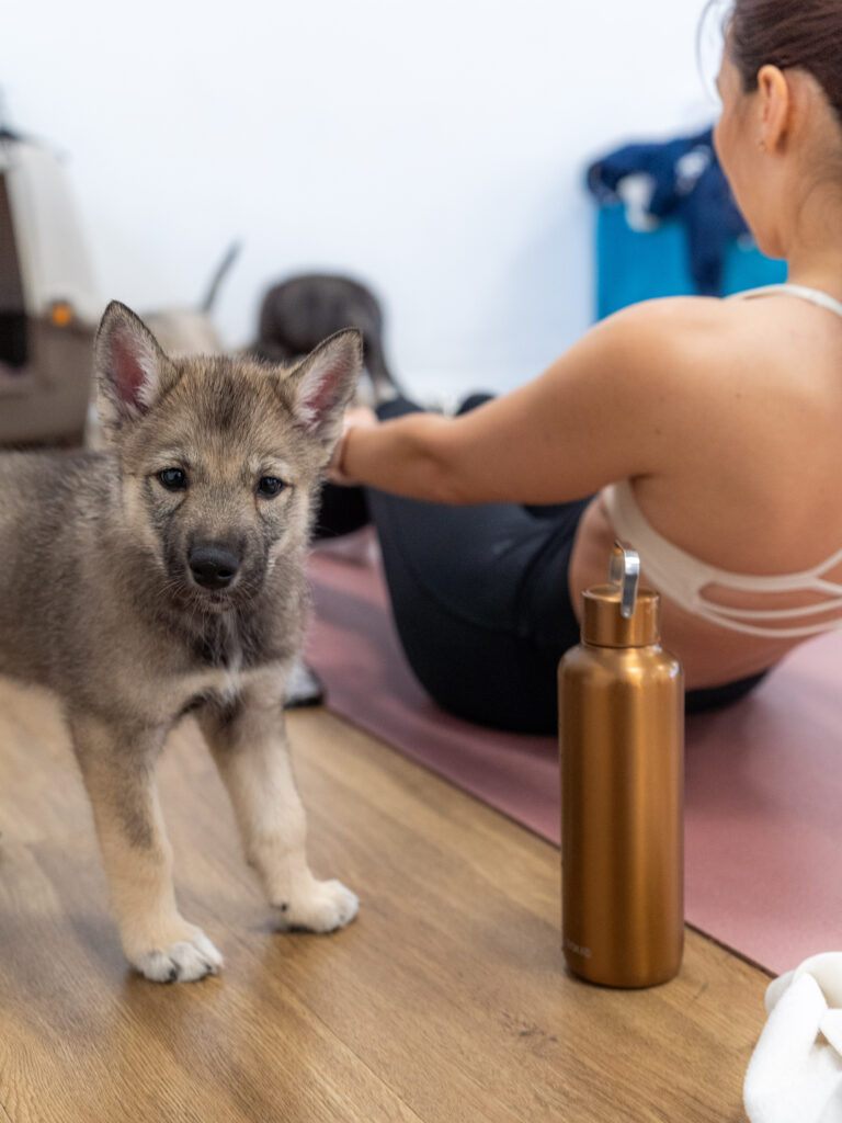PuppyPilates16.5.-22