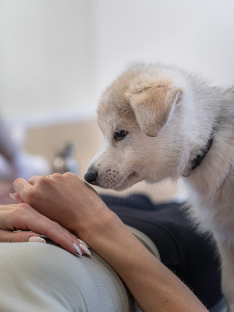 PuppyPilates16.5.-33