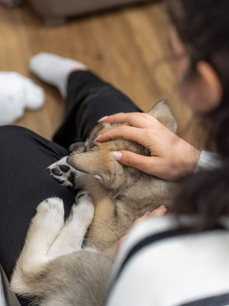 PuppyPilates16.5.-44