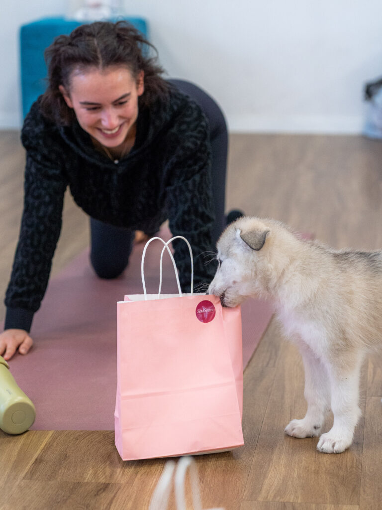 PuppyPilates16.5.-50