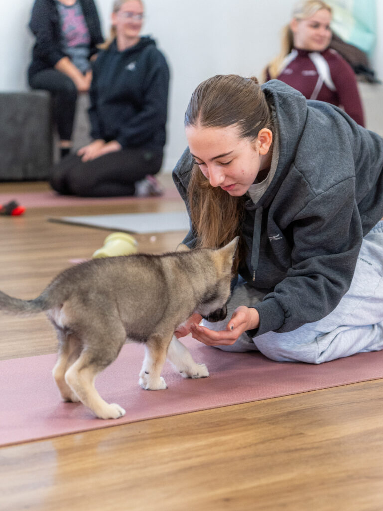 PuppyPilates16.5.-55