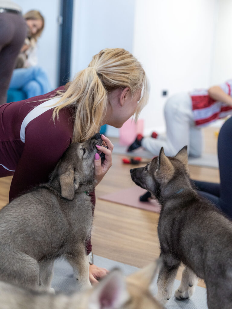 PuppyPilates16.5.-57