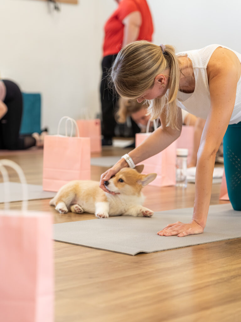 PuppyPilates23.5.-18