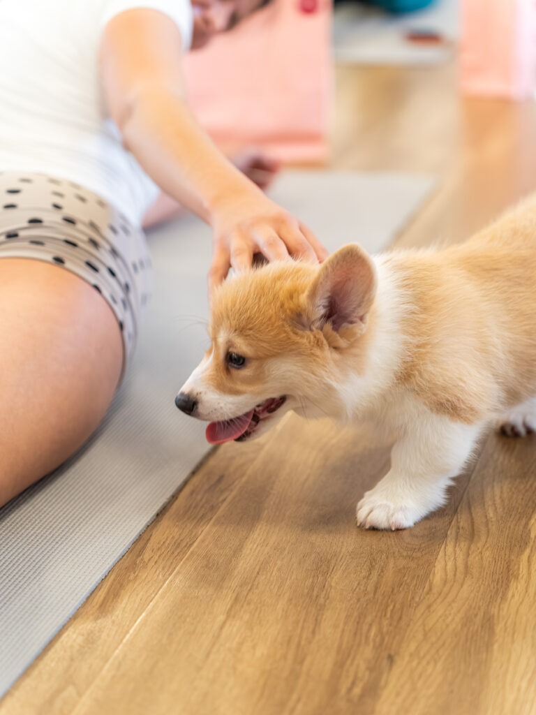 PuppyPilates23.5.-22