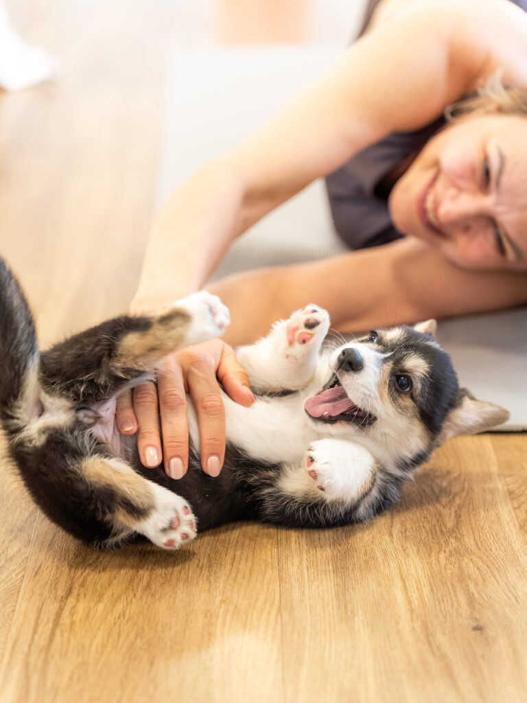 PuppyPilates23.5.-31