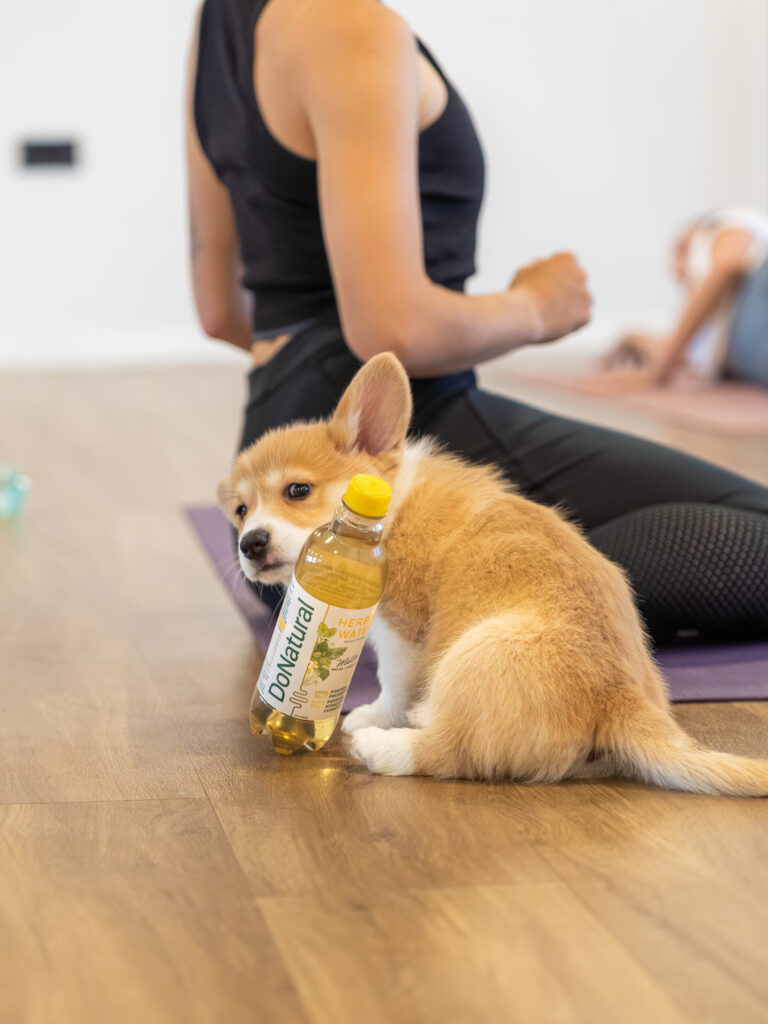 PuppyPilates23.5.-35