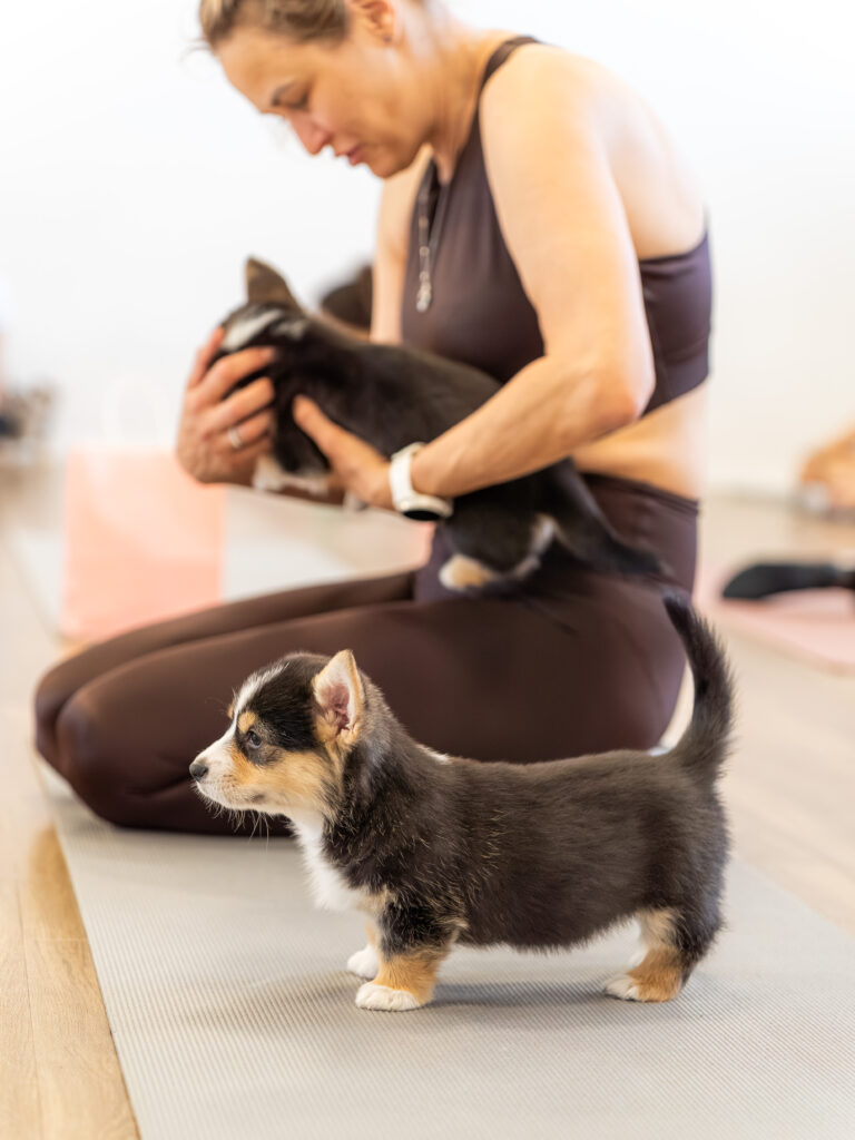 PuppyPilates23.5.-39