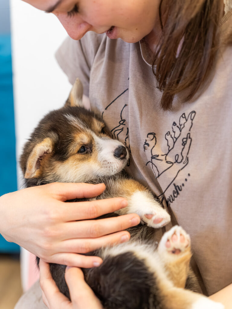 PuppyPilates23.5.-60