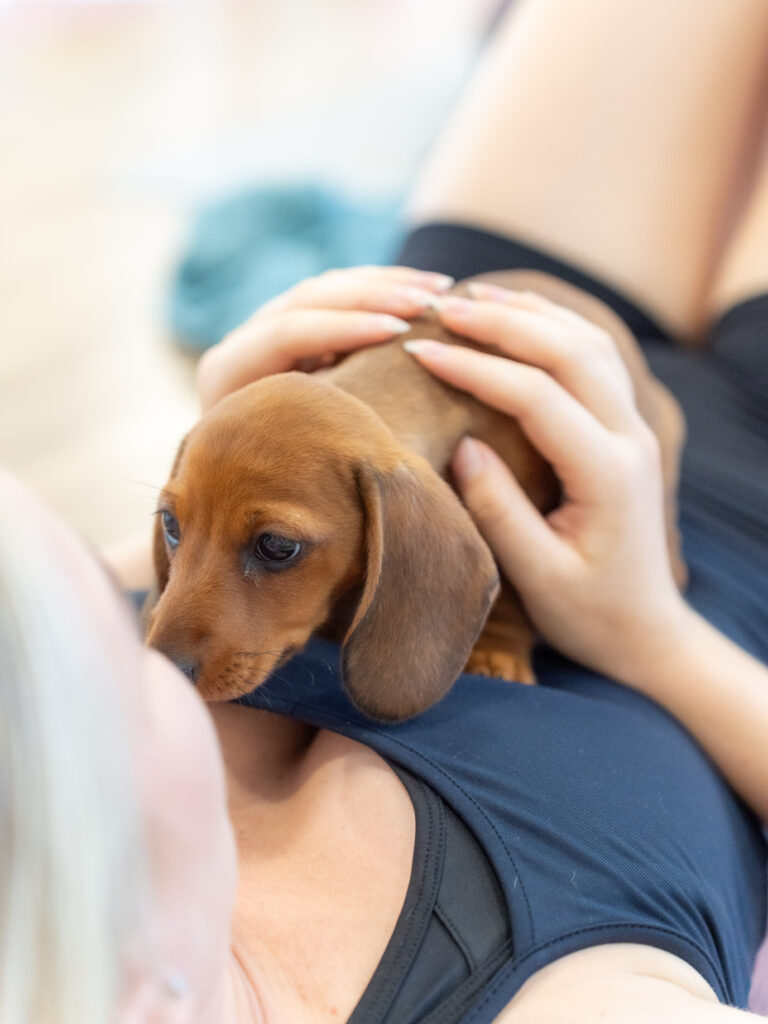 PuppyPilates28.6.-37