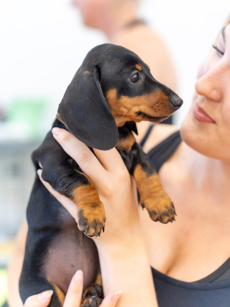 PuppyPilates28.6.-44