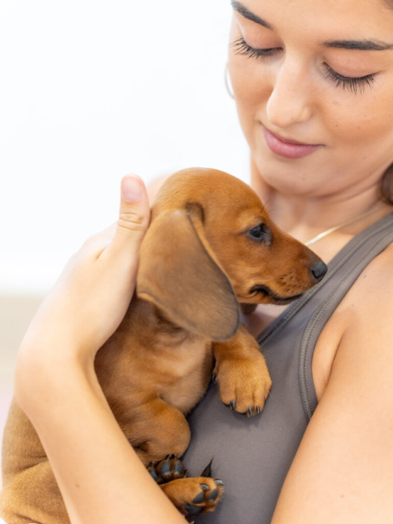 PuppyPilates28.6.-47
