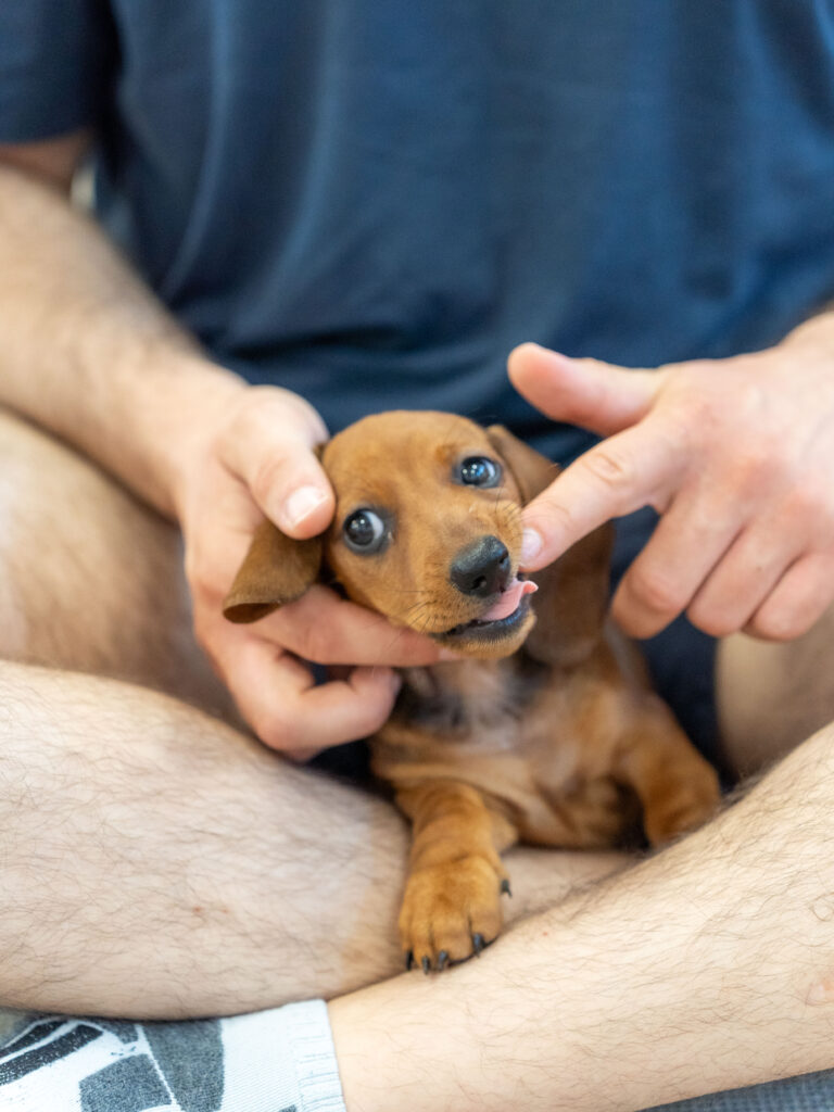 PuppyPilates28.6.-64