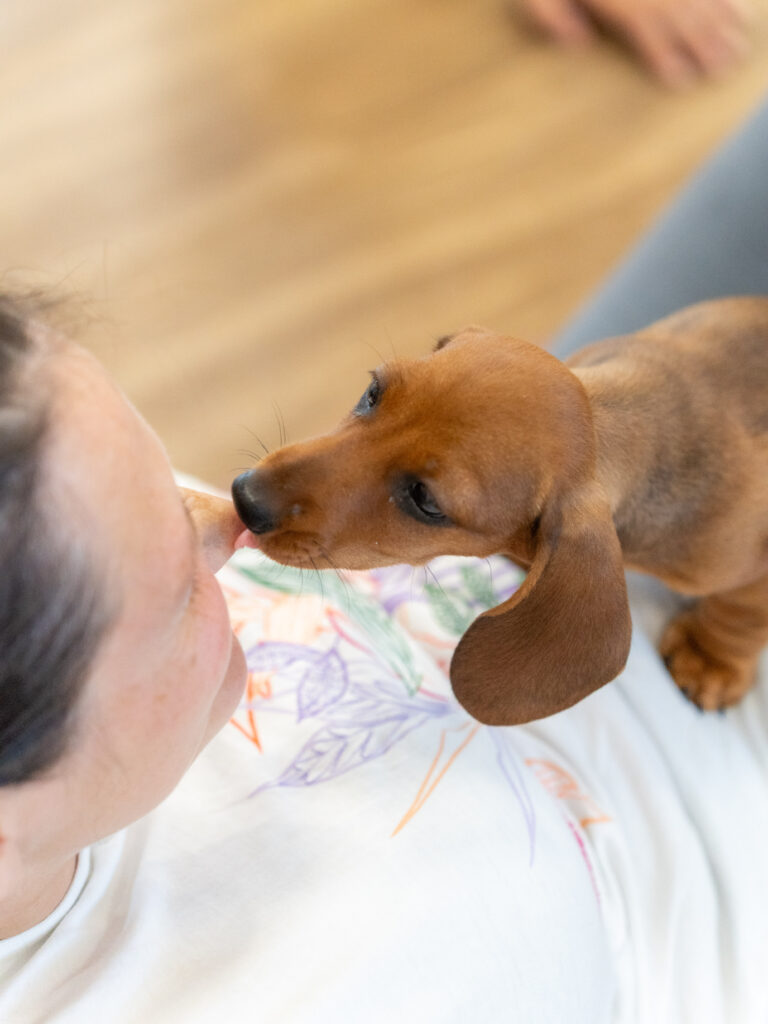PuppyPilates28.6.-71
